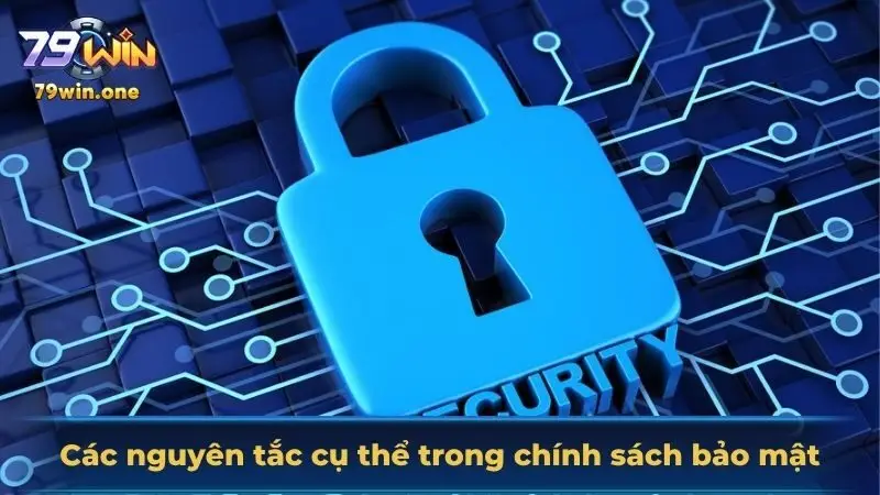 Nêu ra một số nguyên tắc quan trọng có trong bộ quy định